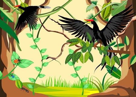 Jungle background with tropical birds, vector illustrationのイラスト素材