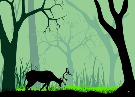 Forest and deer silhouettes, wildlife, vector illustrationのイラスト素材