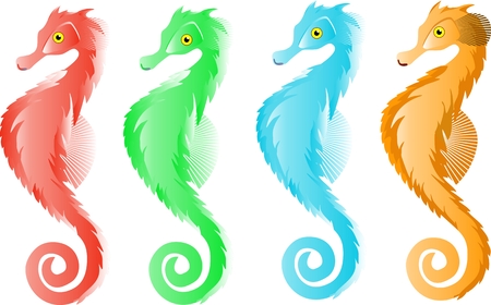 Sea horses vector set in various colorsのイラスト素材