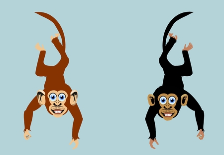 Funny monkeys vector charactersのイラスト素材