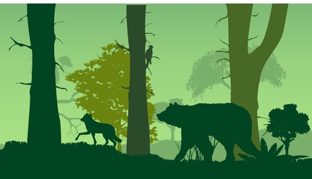 Wildlife nature silhouettte, forest, bear, wlf, trees, greenのイラスト素材