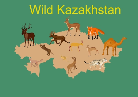 Map of kazakhstan with local animals, vector illustrationのイラスト素材