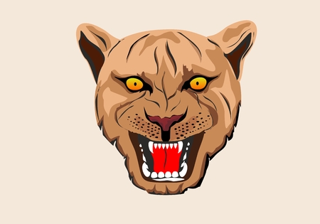 Puma's vector head, isolated illustrationのイラスト素材