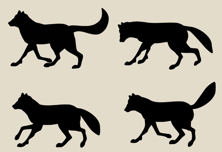 Set of Vector silhouettes of wolves, isolated on whiteのイラスト素材