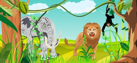 African animals, lion, elephant, monkey in savannah, vector illustrationのイラスト素材