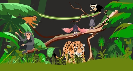 Night jungle scene, tropical animals, tiger, ape, bat. vector illustrationのイラスト素材