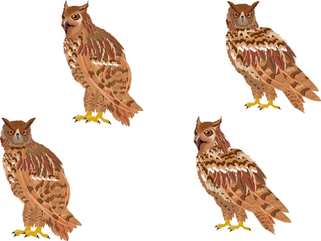 Owl birds set isolated on white vectorsのイラスト素材