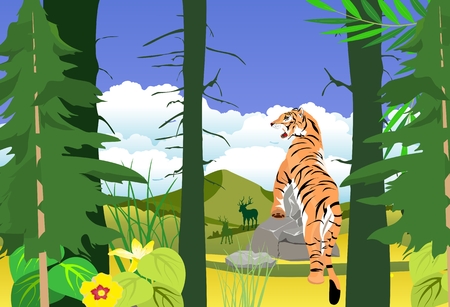 Siberian tiger in the taiga forest, wildlife vector illustrationのイラスト素材