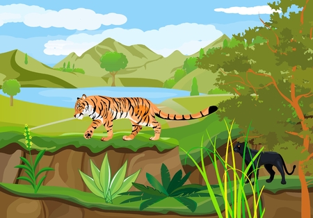 Tiger and panther in the forest, vector wild landscapeのイラスト素材