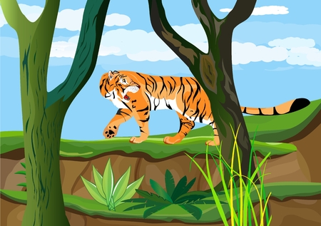 Tiger in the forest, vector illustrationのイラスト素材