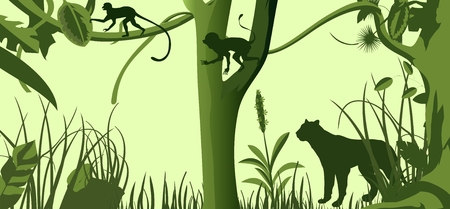 Tropical jungle wildlife silhouettes, panther, apes, trees and plants vector silhouettes.のイラスト素材