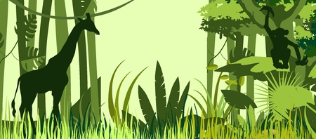 Giraffe's silhouette in the tropical forest, wildlife vector illustrationのイラスト素材