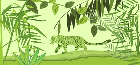 Tiger walking in jungle under green slhouettes of trees. Tropical wildlife scene, vector illustrationのイラスト素材