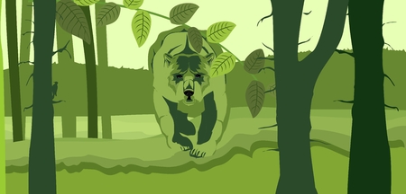 Bear walking in forest illustration.のイラスト素材