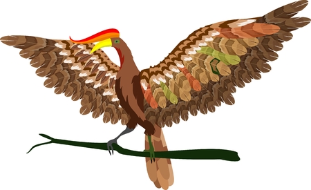 Isolated illustration of big bird.のイラスト素材