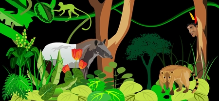 Jungle theme illustration with wild animals.のイラスト素材