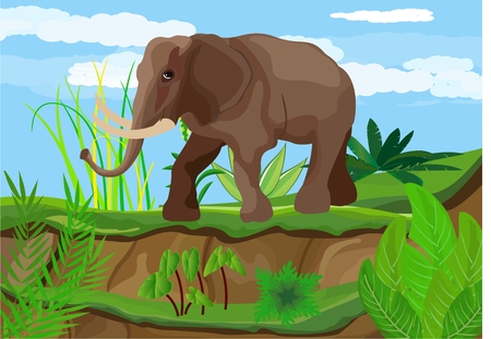 Elephant in the Savannah, wildlife scene landscape.のイラスト素材