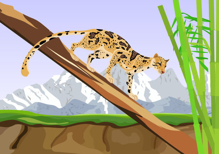 Wild ocelot on tree trunk illustration.のイラスト素材