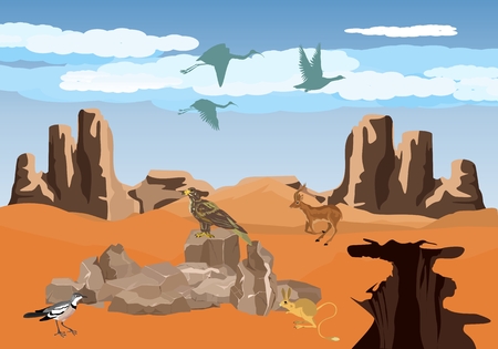 Desert vector landscape scene with wild animals and birds. Eagle ,antilope, rodent.のイラスト素材