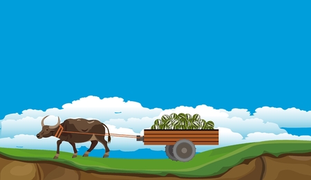 A Buffalo drags a cart with watermelons, vector countryside village sceneのイラスト素材