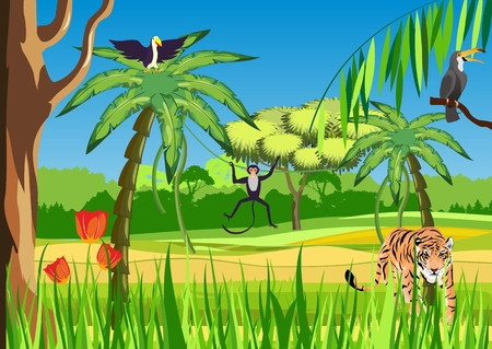 Colorful and cheerful vector illustration of wild jungles landscape, monkeys, tiger, toucan exotic animalsのイラスト素材