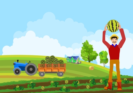 Little village in green hills a field in the countryside, outside park view, landscape view, ships and lambのイラスト素材