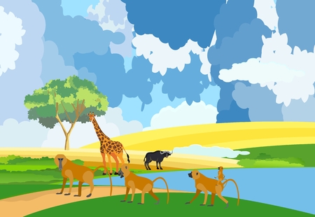 African wild nature vector illustration, ape's family at river bank, giraffe, savannahのイラスト素材