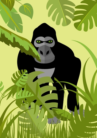 Gorilla ape in jungle green leaves, vector illustrationのイラスト素材