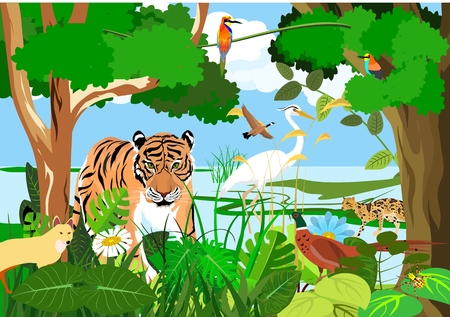 Syrdarya river fauna, tiger, pheasant, birds, forest, vector illustrationのイラスト素材
