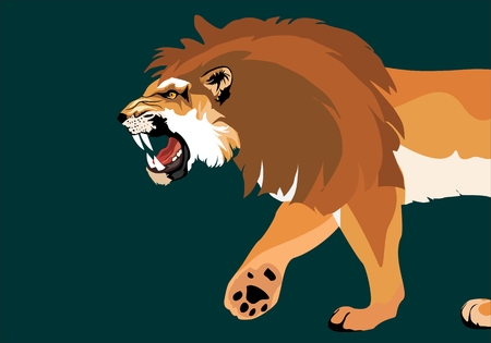 Growling male lion vector illustrationのイラスト素材