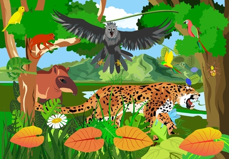 Jungle scene vector illustration with Eagle harpy, parrots, butterflies, exotic plants, jaguar, monkey, tapir rainforest fauna, vector illustrationのイラスト素材
