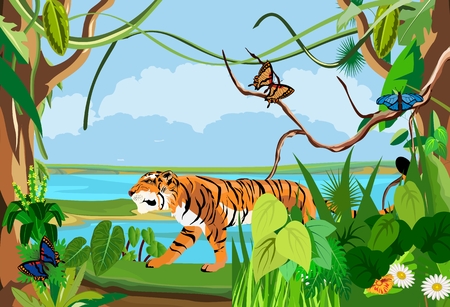 Jungle wildlife nature landscape background, vector illustration, tiger, butterfliesのイラスト素材