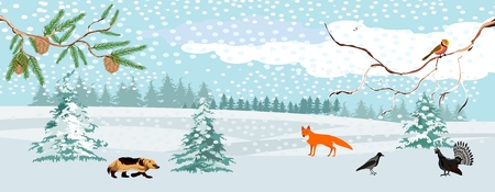 Wildlife landscape, winter in the forest, vector illustration.のイラスト素材