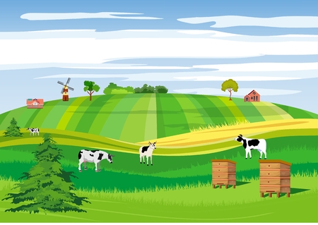 Countryside, farmland, hives, green meadows and hillsのイラスト素材