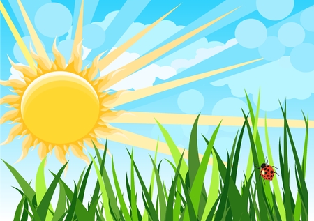 Sunny natural funny cartoon background, green grass, ladybugのイラスト素材