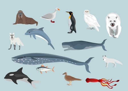 Set of Arctic animals waterfowlのイラスト素材