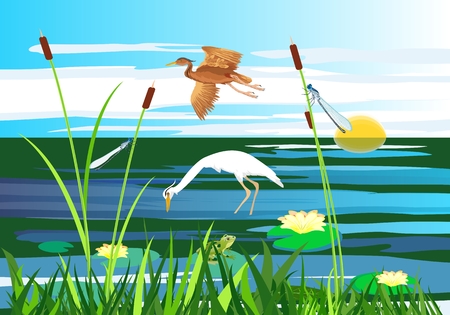 White and red heron flying above the lake, gragonflies, wetland landscape, vector wildlifeのイラスト素材