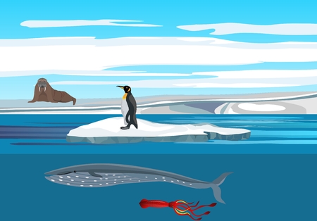Arctic nature concept, walrus on the ice, penguin, whale among the polar icebergs.のイラスト素材