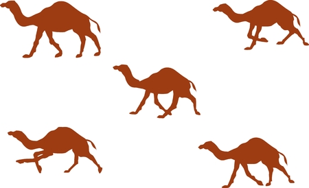 Camels silhouettes set, isolated vector illustrationのイラスト素材