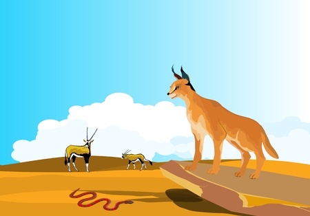 Caracal desert lynx in desert, vector nature wildlife scene.のイラスト素材