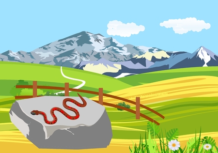 Snake warming on stone, countryside, nature landscape vector illustrationのイラスト素材