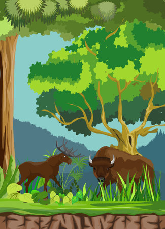 Moose and bison animals in the forest, wildlife scene, vector illustration, grasslandのイラスト素材