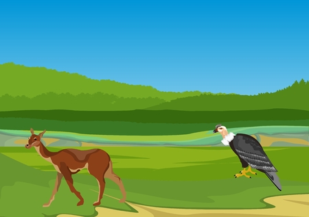 Wild wildlife landscapeのイラスト素材