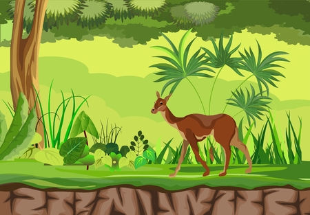 Lama south american animal in the forestのイラスト素材