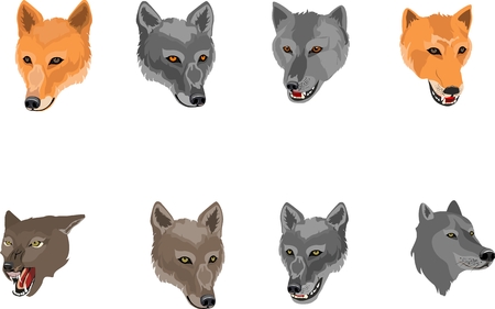 Wolves's heads set isolated on white vector illustrationのイラスト素材