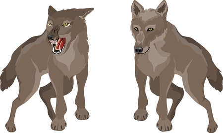 Couple of animals in different poses, isolated vector illustrationのイラスト素材