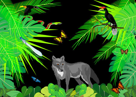 Jungle wolf in the centerのイラスト素材