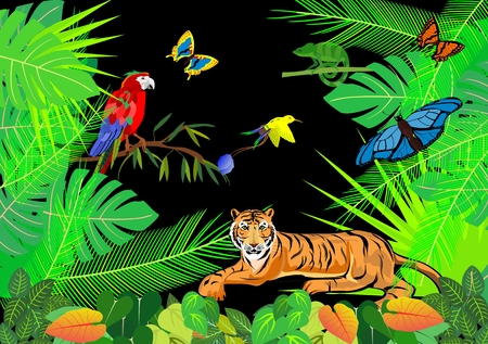 Jungle vector scene, wildlife theme, tiger and parrotのイラスト素材