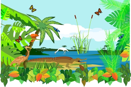 Toucan bird, on tree branch, tropical exotical background, jungle.のイラスト素材