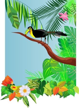 Toucan bird, on tree branch, tropical exotical background, jungle.のイラスト素材